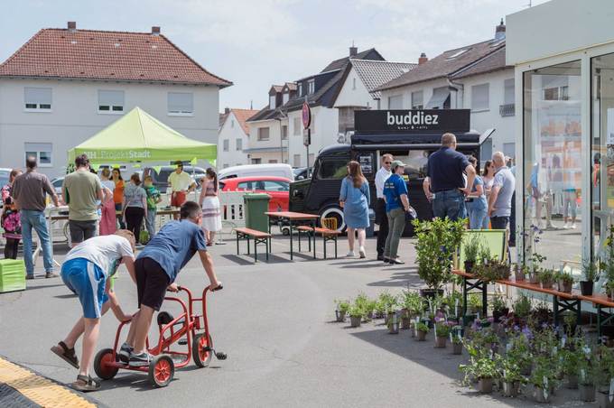 Wachstum und Nachhaltige Erneuerung