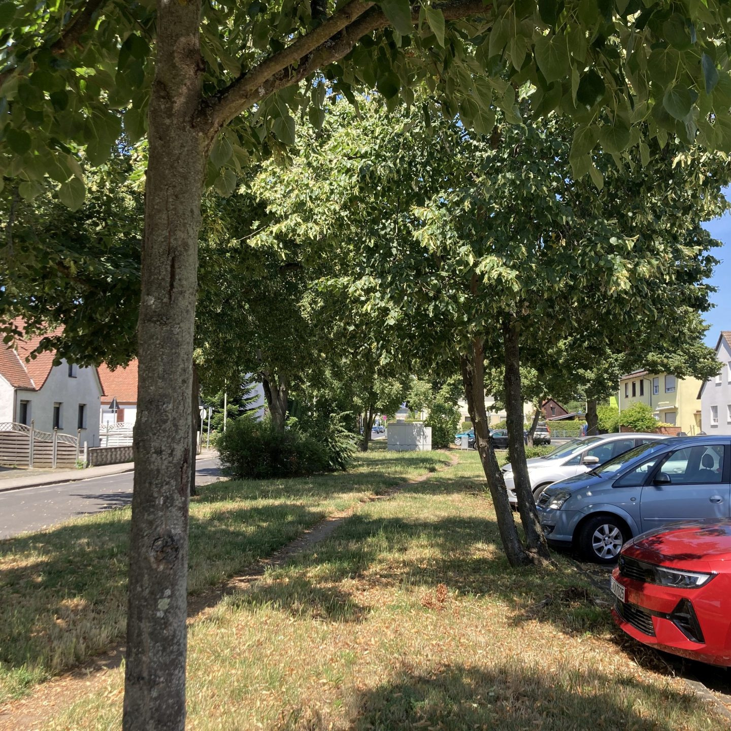 Grünstreifen mit Wiese und Bäumen sowie Autos, die ganz nah daran parken